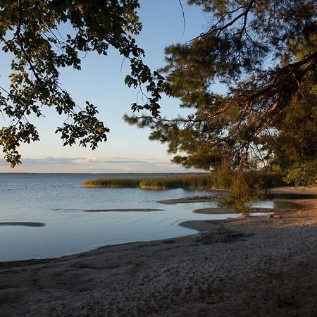 Fleesentraum Seeadler Grand Maisonette - Fuer Golfer Und Familien - Sauna Kamin Balkon Nintendo - Hunde Willkommen! Gohren-Lebbin Bagian luar foto