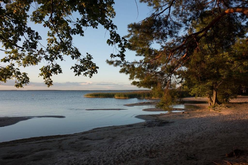 Fleesentraum Seeadler Grand Maisonette - Fuer Golfer Und Familien - Sauna Kamin Balkon Nintendo - Hunde Willkommen! Gohren-Lebbin Bagian luar foto